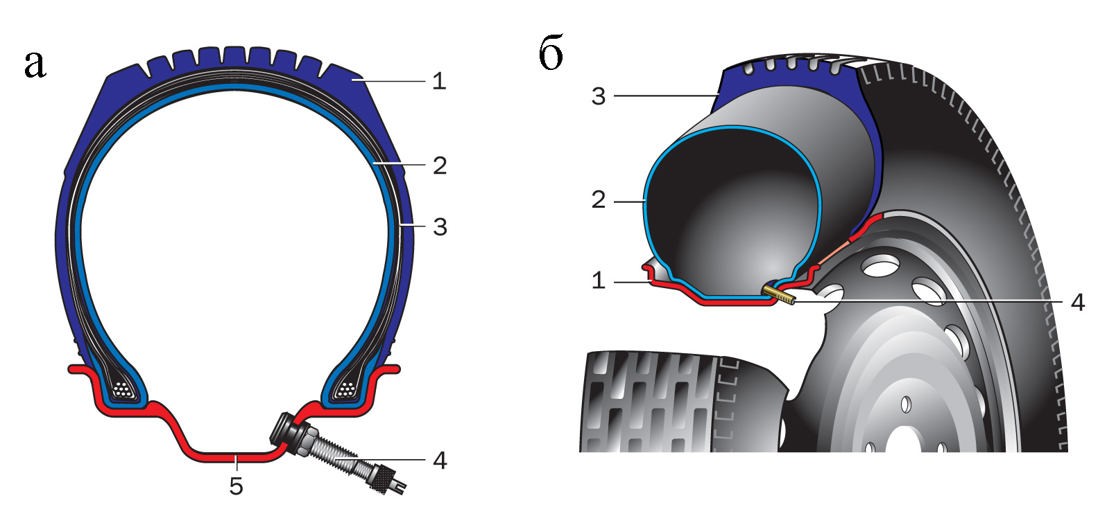 Чем отличаются колеса. Строение бескамерной шины. Строение пневматической шины. Конструкция камерной и бескамерной шины. Конструкция бескамерного колеса.